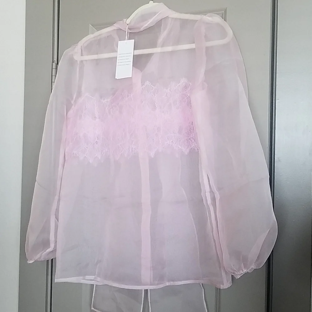 Sheer Lace Blouse in Blush - Picture 5 of 5